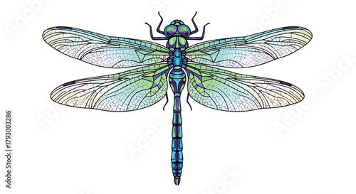 Detailed colorful dragonfly vector illustration of a beautiful nature insect, rendered in a modern 2D flat style and isolated on a clean white background.