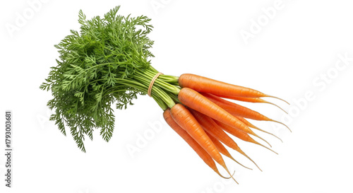 Fresh carrots with green tops healthy food vegetable bunch on transparent background