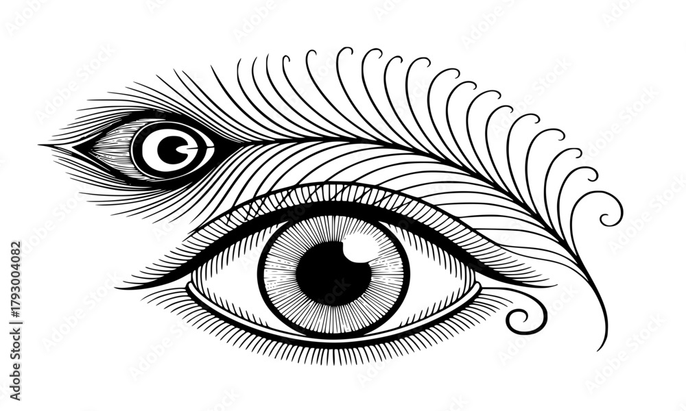 Obraz premium Intricate Hand-Drawn Design of Two Eyes with Decorative Feather and Line Art Detailing, Stylized Vector Illustration of Vision, Mysticism, and Esoteric Symbolism on White Background.