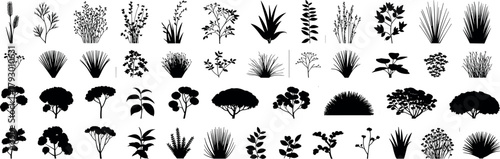 Plant and shrub silhouettes set, leaves and grasses, black vector icons, landscape design elements, garden clipart, isolated nature illustration collection