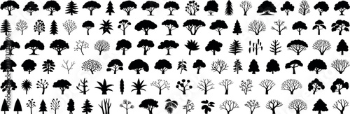 Tree silhouettes pack, diverse forest and park trees, black vector icons, isolated shapes, landscape design elements, botanical nature clipart collection