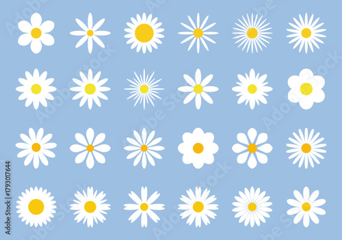 A set of chamomile flower icons. Floral abstract icons isolated, vector illustration, flat design. A botanical simple graphic element for design, decoration, labels. Blooming white garden plant