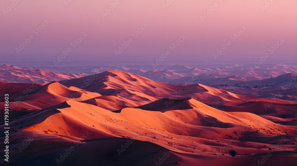 Fototapeta premium Expansive landscape showcases rolling sand dunes illuminated by twilight colors