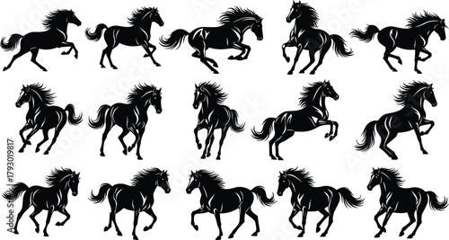 Horse silhouettes, dynamic running and galloping poses, black vector animals, equine motion study, detailed mane illustration, minimal design, nature concept