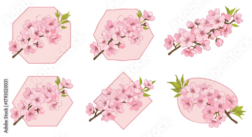 Elegant collection of delicate pink cherry blossom branches in various geometric frames and arrangements on a pristine white background