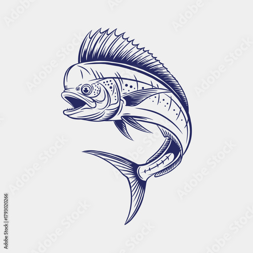 Jumping mahi mahi fish vector illustration