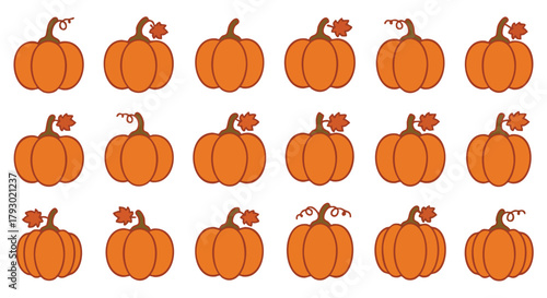 A charming collection of vibrant orange pumpkins with various stems and small leaves perfect for fall themed designs