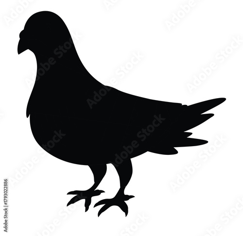 Cute cartoon hand drawn vector Pigeon bird silhouette.