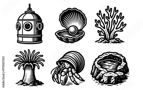 Vintage nautical elements: diver helmet, pearl, coral, anemone, hermit crab, seashell