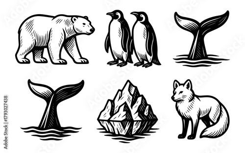 Vintage arctic wildlife and marine creatures with bold line art style