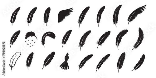 Black feather silhouette vector set. Different bird feathers icon collection. Bird feathers vector illustration, hand-drawn feather collection.