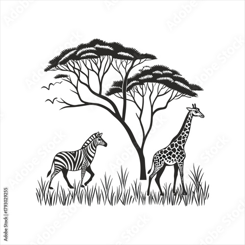 zebra with flowers in wildlife illustration