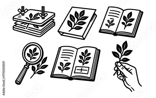 Botanical line art collection: herbarium, pressing, and plant identification
