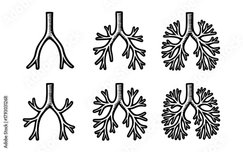 Set of bronchial tree anatomy icons in detailed black and white style
