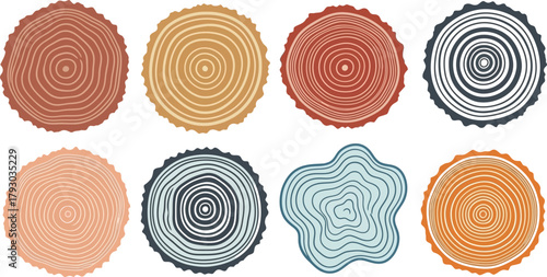 Eight colorful tree rings on white background, for nature design