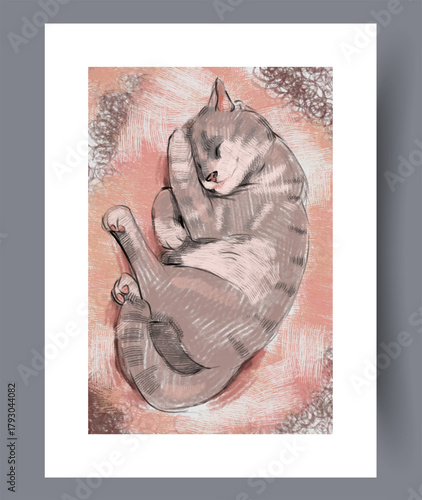 Comfortable domestic cat resting peacefully with gentle lines