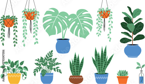 Collection of decorative indoor potted plants and hanging greenery illustrations, perfect for home décor, botanical designs, modern interiors, and nature-inspired vector projects.