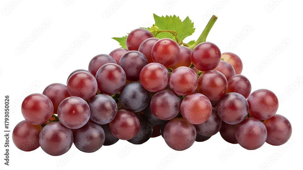 Fototapeta premium Cluster of deep red fruit with green foliage sits isolated against a dark background