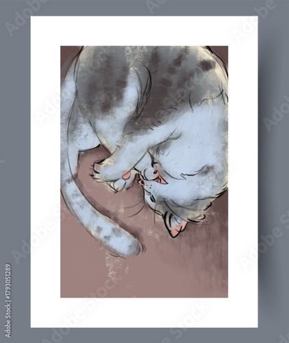 Comfortable feline lying curled, Serene cat napping on cozy rug