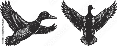 Linocut Mallard Duck in Flight: Vintage Engraving Style Bird Silhouette Artwork