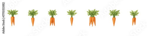 Carrot icon set. Carrot bunch vector set. Fresh carrot collection for farm food, healthy eating and organic produce designs.
