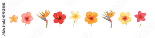 Tropical flower icon set. Exotic flower vector set. Collection of colorful tropical blossoms for summer, vacation and nature design.