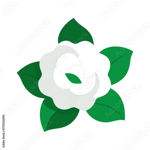 Stylized white magnolia flower with green leaves