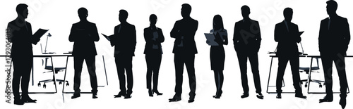 Business team, corporate professionals, office staff, teamwork, leadership, silhouette group, formal attire, organizatio