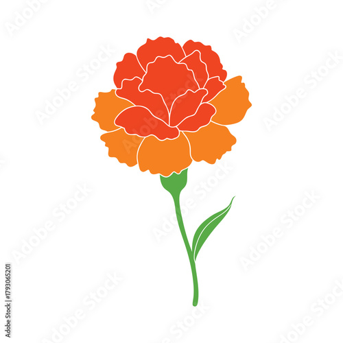 Vibrant orange carnation flower illustration with green stem.