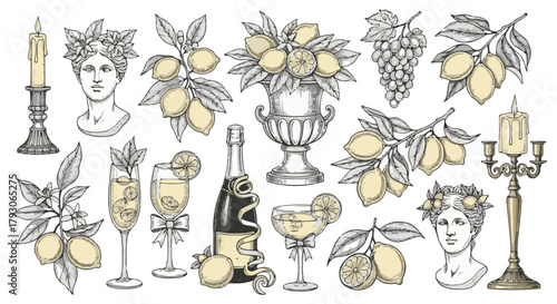 Aesthetic botanical sketch: A collection of meticulously drawn lemons, a champagne bottle, vintage glasses with lemons and cocktails, a candleholder, and a neoclassical statue.