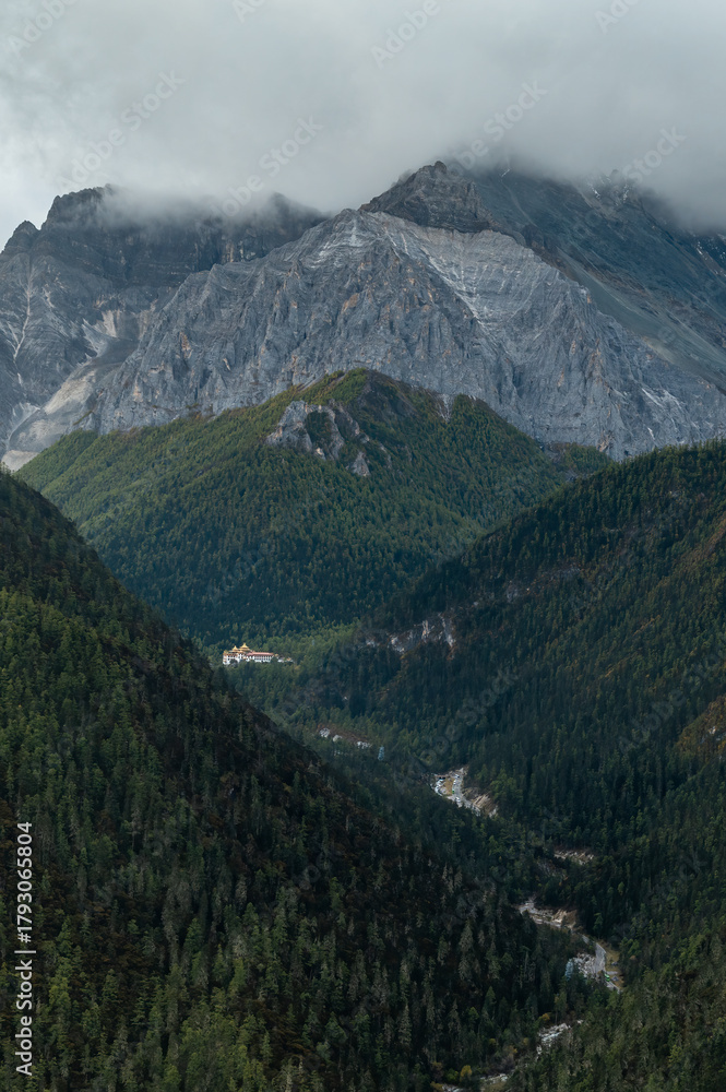 Naklejka premium The high mountain forest scenery of the Qinghai Tibet Plateau, Daocheng Yading Scenic Area in Sichuan, China