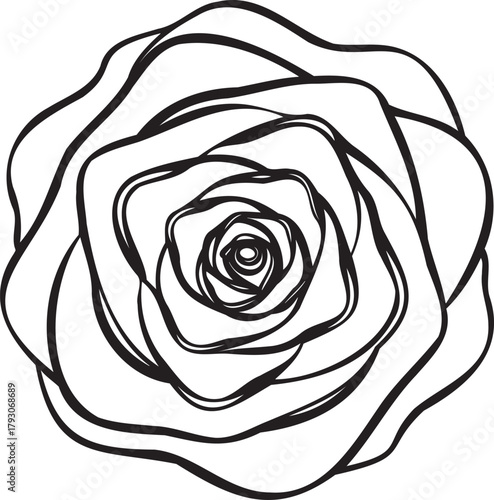 Stylized rose swirl pattern — abstract line vector for textiles
