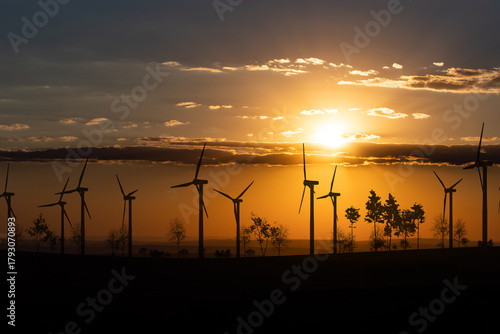 Wind turbines on the horizon during sunset, landscape with trees and shrubs. Energy, environment, wind power, sustainable energy.