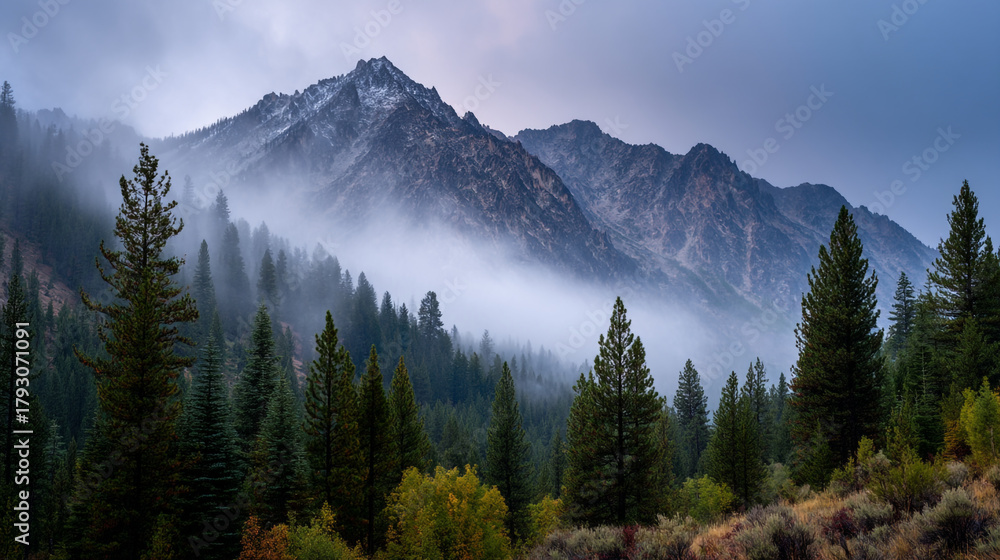 Fototapeta premium A scenic view of a mountain range shrouded in mist with a dense forest in the foreground scene