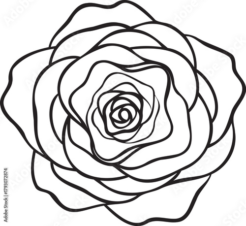 Seamless spiral rose waves — repeat tile for surface design