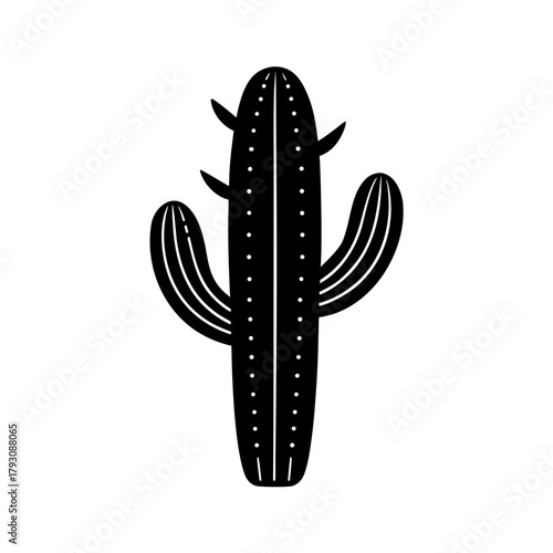 a cactus vector art illustration