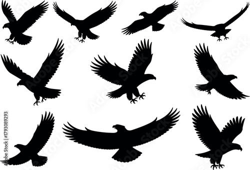 Eagle silhouettes flying, birds of prey, hawk falcon raptor, wings spread, talons ready, black vector set, isolated white background, collection