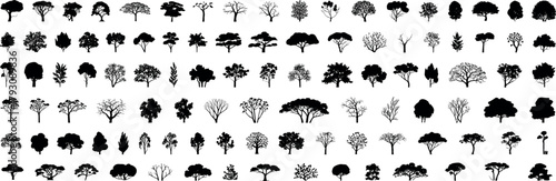 Tree silhouettes collection, diverse forest trees, black vector icons, isolated shapes, landscape design elements, botanical set, nature clipart, assorted species