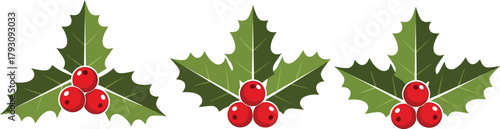 Three decorative holly leaves with berries arrangement isolated on transparent background. Green leaves and red berries. Christmas winter holiday