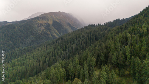 Aerial view of Fairy Forest in Pulga, Parvati Valley, Himachal Pradesh on an autumn evening, showing dense pine and deodar trees with rocky mountain peaks in the background and clouds drifting over