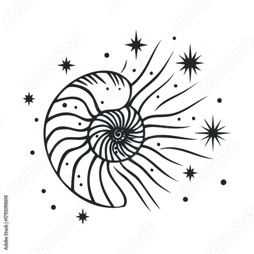 Nautilus shell design with stars and cosmic elements for wall art.Vector hand draw