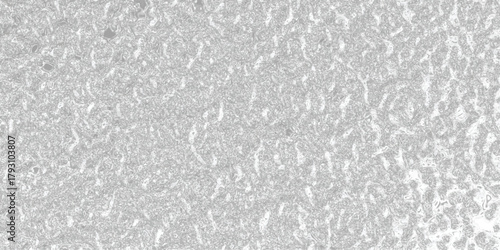Detailed Close- Up Macro View of a Textured Gray Surface with Subtle Speckled Patterns and Irregular Granular Details Creating an Abstract Background