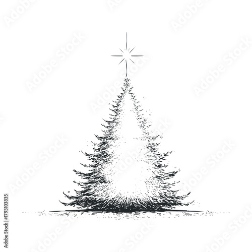 Chic Christmas tree design for holiday decor and cards.Vector hand draw
