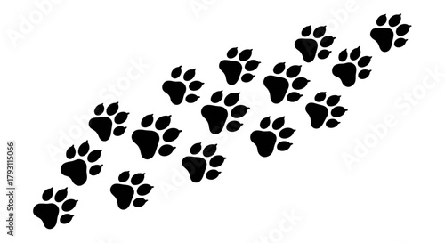 Discovering the path forward with bold paw prints trailing across a clean white canvas