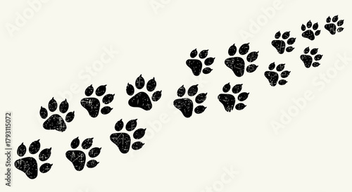 Textured black paw prints marching across a clean, off white background creating a dynamic sense of movement and exploration