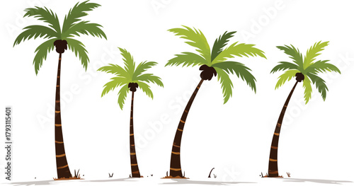 Illustration of tropical palm trees in cartoon style isolated on white
