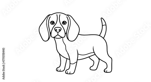 Charming beagle illustration with precise lines capturing its playful character and form
