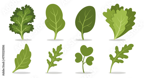 Diverse culinary greens assortment showcasing freshness and healthy eating options in design