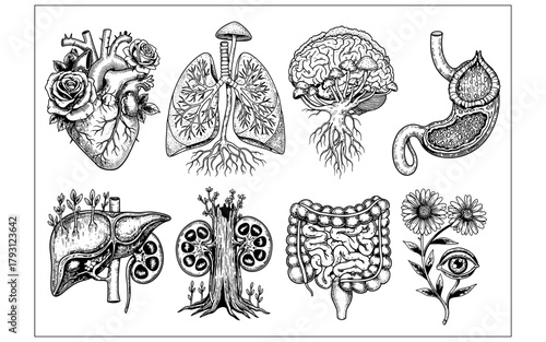 Intricate anatomical organs with nature elements in black and white engraving style