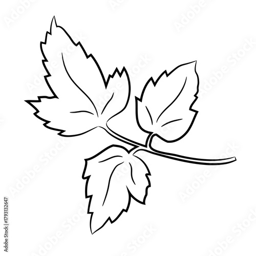 leaves on branch, sketch of black art brush lines